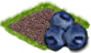 áfonya.png
