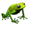 10.png