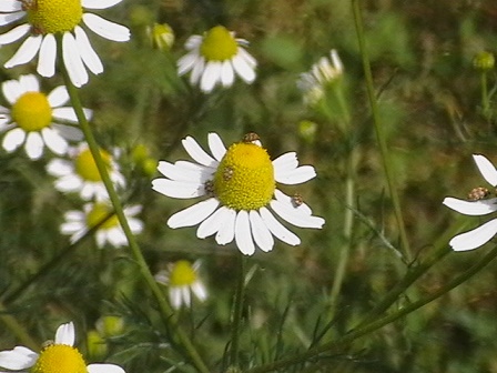 173.jpg