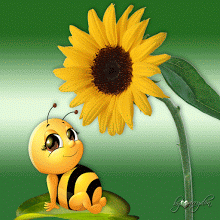 1f6488e03b6637ee957d018cd2b39f5f.gif