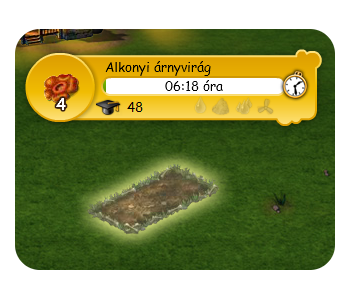 1x2.png