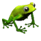 2.png