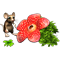 23.png