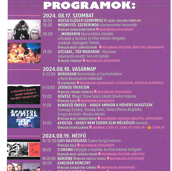 240806_4_napirend.pdf - Google Chrome 2024. 08. 19. 14_34_48.png