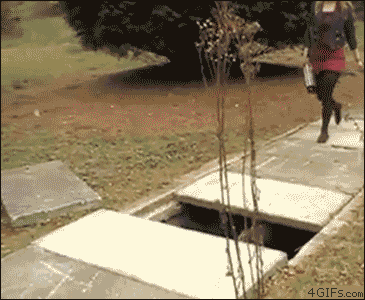 2BB2.gif