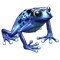 4.png