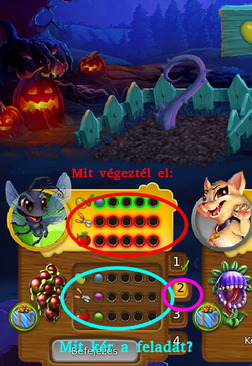 5.kép.png