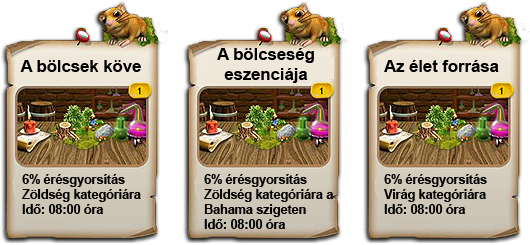 5 szint.png