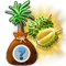 51.png