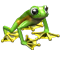 6.png