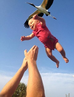 79.jpg