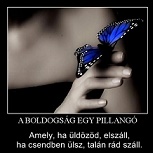 a boldogság.jpg