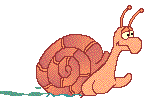 a cs.png
