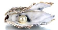 a gyöngy 2.jpg