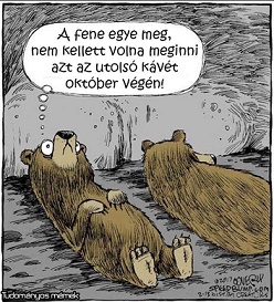 a macik.jpg