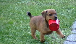 a morzsa.jpg