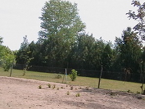 akác9.jpg
