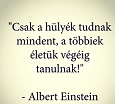 albert-einstein-bolcsesseg-idezet  hülyék.jpg