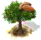 almond.png