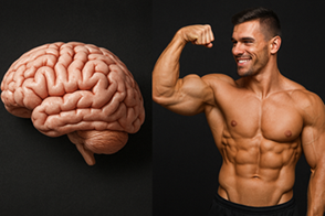 anatomically inspireerővelvágott.png