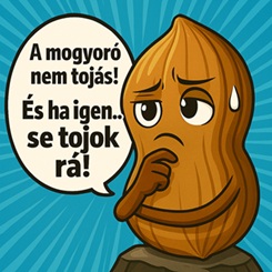 Anime stílusú kép eg.jpg