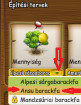 ansu barackfa.png