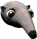 anteater.png