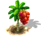 areca_upgrade_0.png