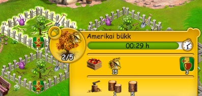 bükk.jpg