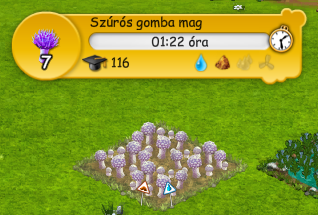 bbb_1.png
