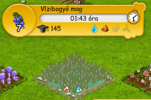 bbb_2.png