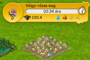 bbb_3.png