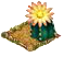bishopshatcactus.png