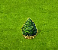 boroka_xxl.gif