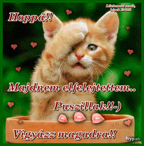 cc512cb75df2a6a7150df8f0220110cf.gif