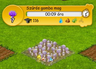 ccc_1.png