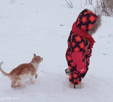 cica gyerek.gif
