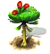 cladoxylopsida_upgrade_0.png