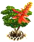 coraltree_upgrade_1.png