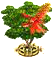 coraltree_upgrade_2.png