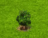 cottonwood_upgrade_0.gif