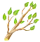 countryjan2019branch_big.png