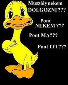 da221eeb78ff278a7fca7d734ee570ff--humor.jpg