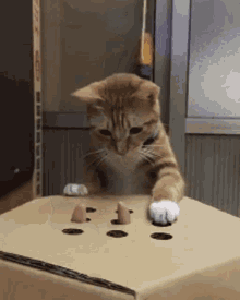did-i-just-got13fingis-new-record.gif