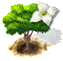 dogwood_upgrade_0.png
