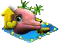 dolphin11.png