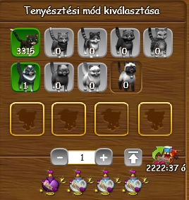 előtte.jpg