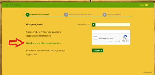 elfelejtett jelszós oldal képe.jpg
