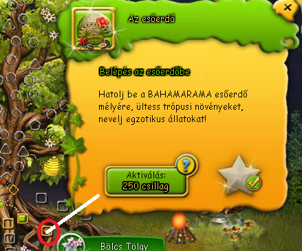 esőerdő.png