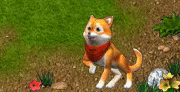 eventkutya.gif